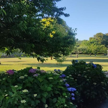 Alloggio Turistico Dakota Manziana Dış mekan fotoğraf