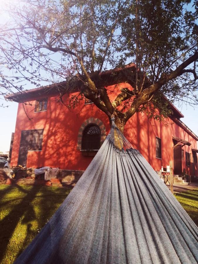 Alloggio Turistico Dakota Manziana Dış mekan fotoğraf